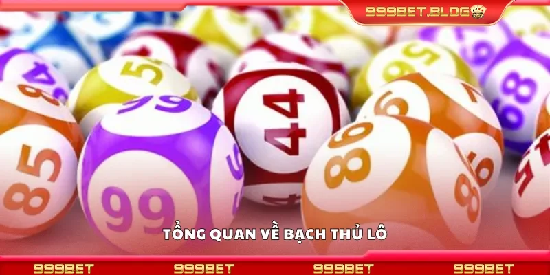 Tổng quan về bạch thủ lô