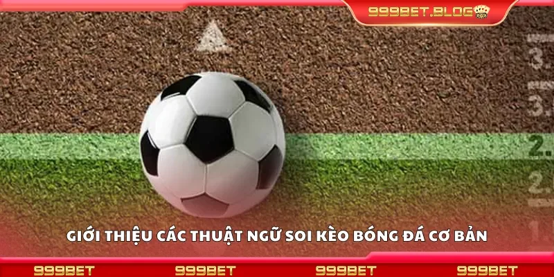 Giới thiệu các thuật ngữ soi kèo bóng đá cơ bản