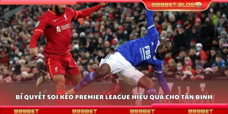 Những bí quyết soi kèo Premier League hiệu quả cho tân binh