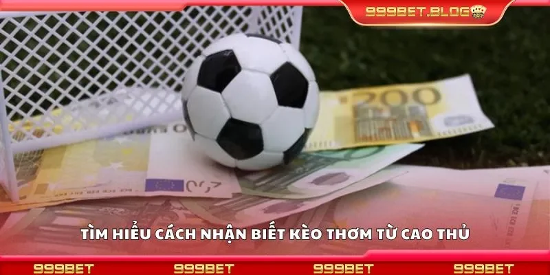 Tìm hiểu cách nhận biết kèo thơm từ cao thủ