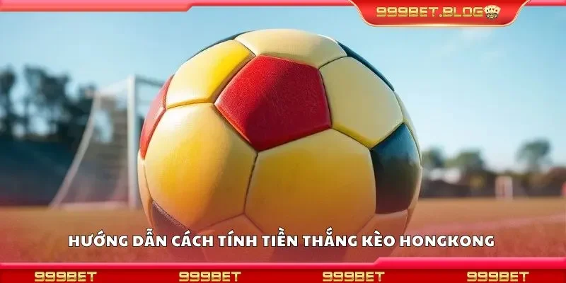 Hướng dẫn cách tính tiền thắng kèo hongkong