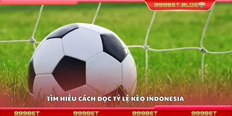 Tìm hiểu cách đọc tỷ lệ kèo indonesia 