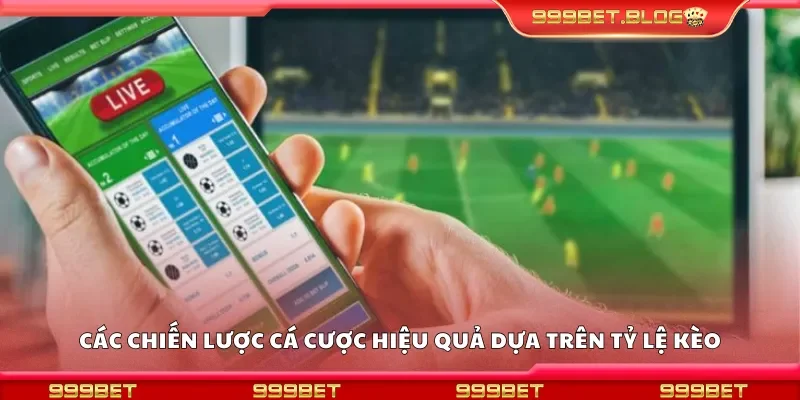 Các chiến lược cá cược hiệu quả dựa trên tỷ lệ kèo